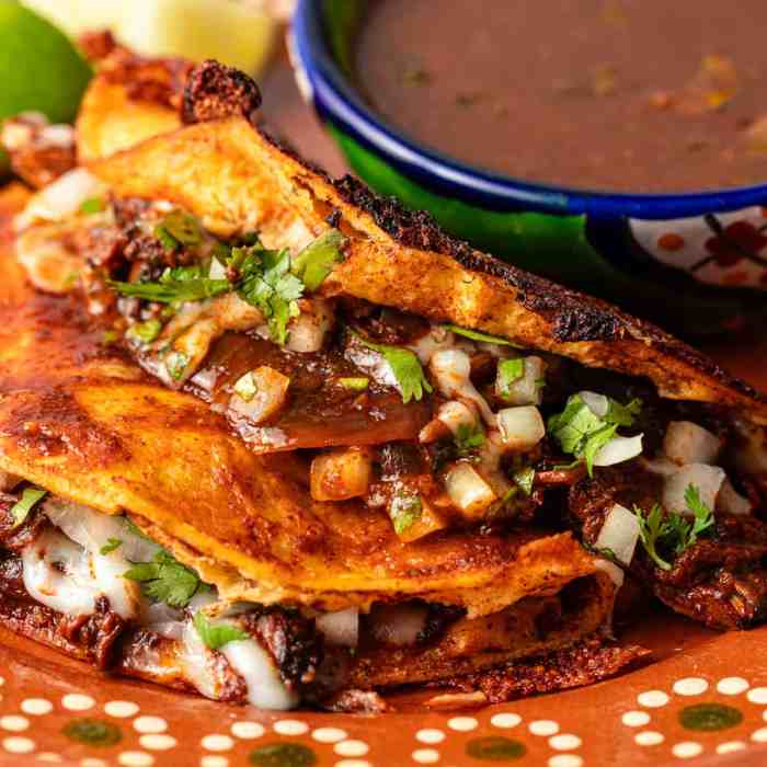 Easy birria tacos recipe with enchilada sauce