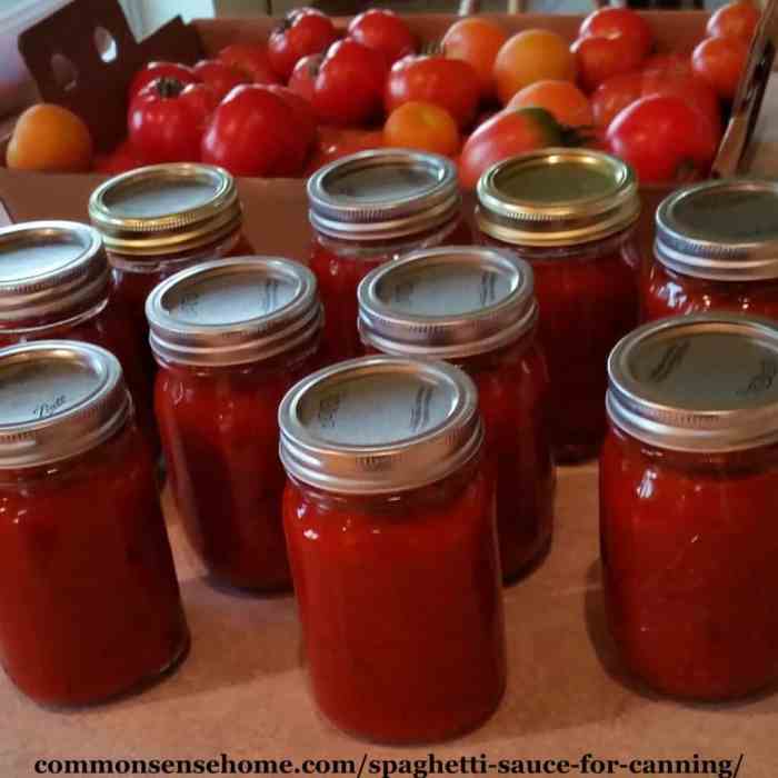 El pato hot tomato sauce recipe