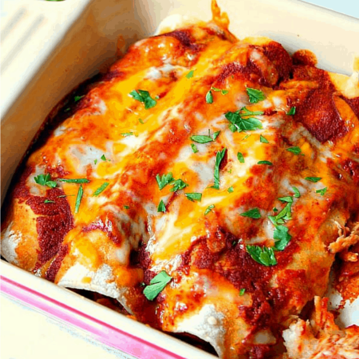 Easy chicken enchilada recipe with enchilada sauce