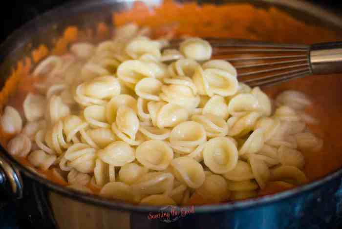 Gigi hadid pasta sauce recipe