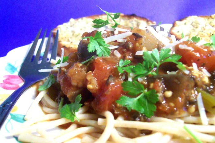 Eggplant and spaghetti sauce recipes